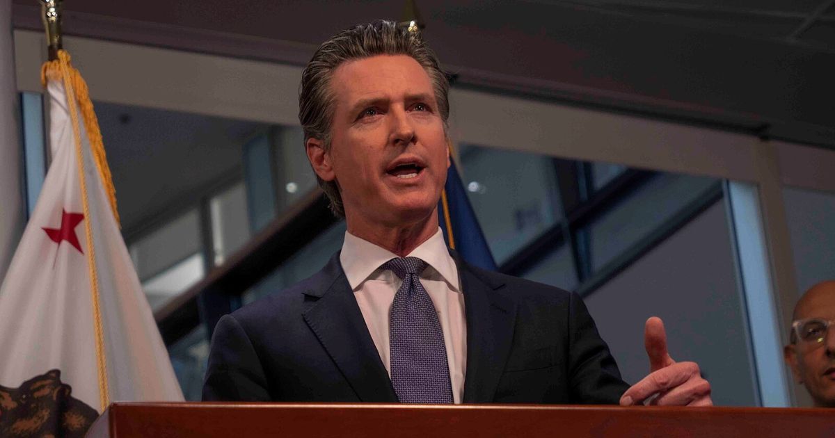 newsom-dealbook
