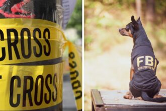 Indiana teen planned mass shooting but an FBI tip managed to save lives at the last minute