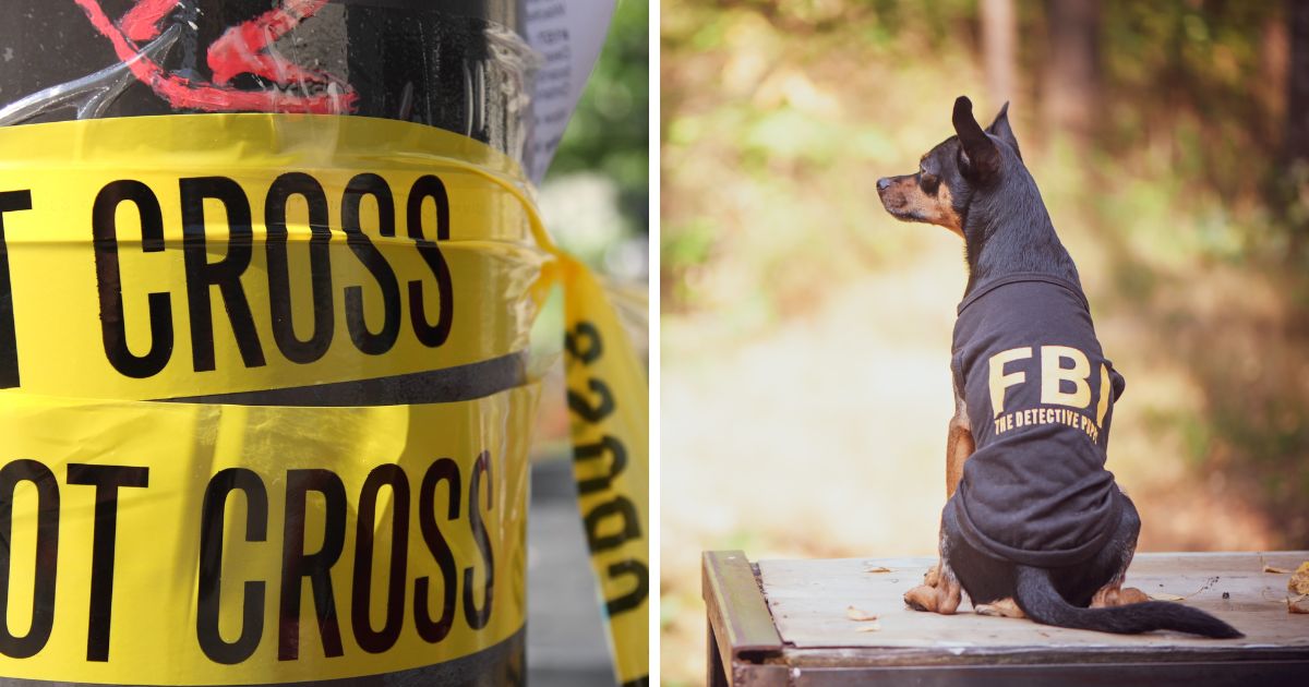 Indiana teen planned mass shooting but an FBI tip managed to save lives at the last minute