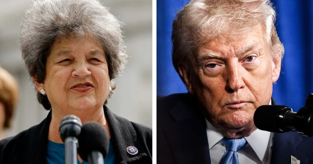 U.S. Rep Lois Frankel has a comment on Trump's obsession with showerheads