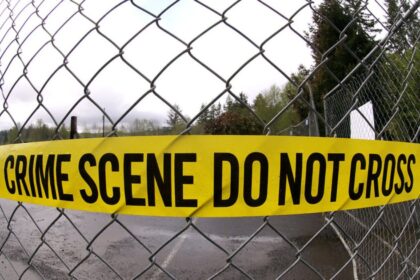 Woman makes chilling statement after stabbing boyfriend on New Year’s Day