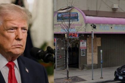 Donald Trump On Minnesota SNAP