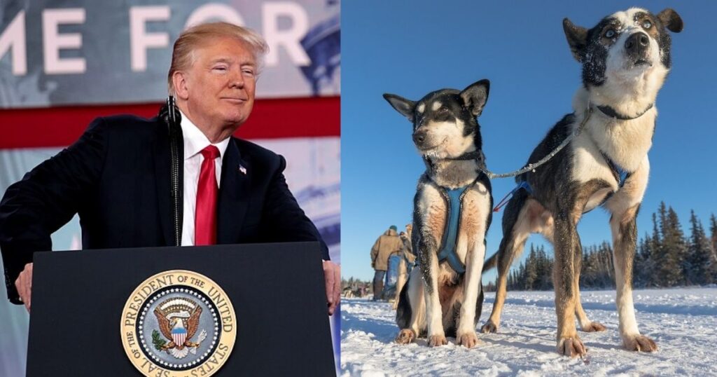 Donald Trump's new remark on Greenland