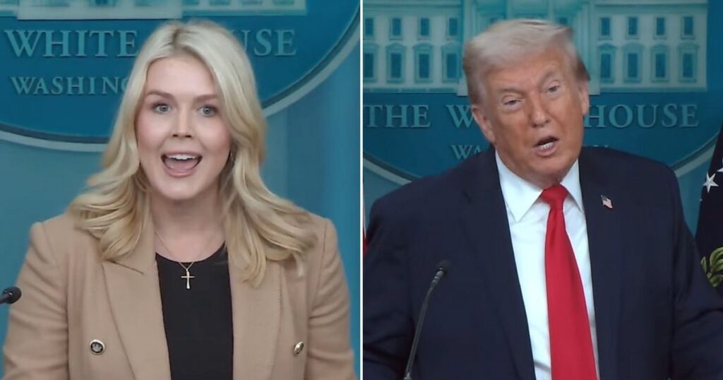 Karoline Leavitt's big White House moment gets upstaged by Donald Trump.