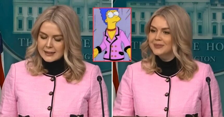 Karoline Leavitt wore a pink suit at a White House press briefing