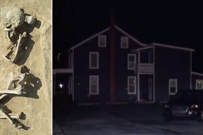Police discover hundreds of human skulls and mummified infants at a Pennsylvania basement.