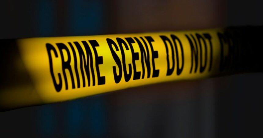 Tennessee man sentenced for brutal killing of own mother