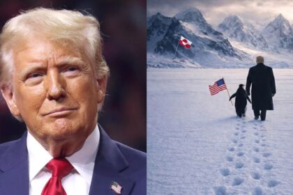 Trump gets trolled over Penguin meme trend