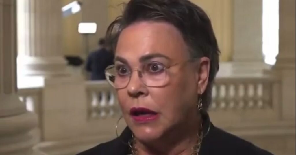 Trump's MAGA ally Harriet Hageman gets booed off stage