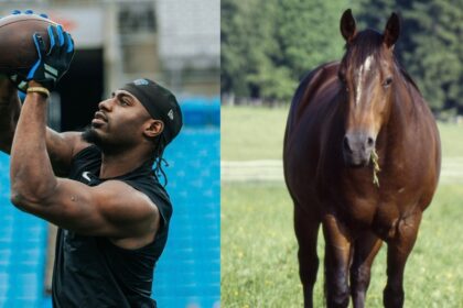 Carolina Panthers receiver Xavier Legette and an American Quarter horse