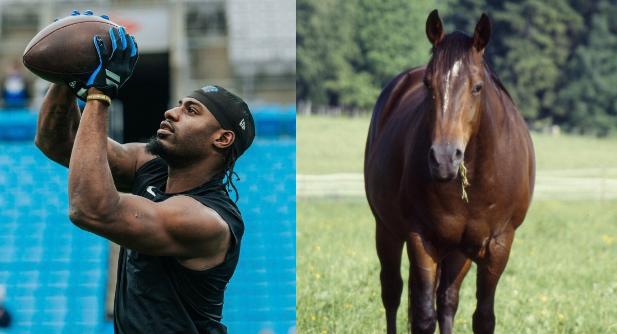 Carolina Panthers receiver Xavier Legette and an American Quarter horse