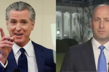 gavin newsom and stephen miller