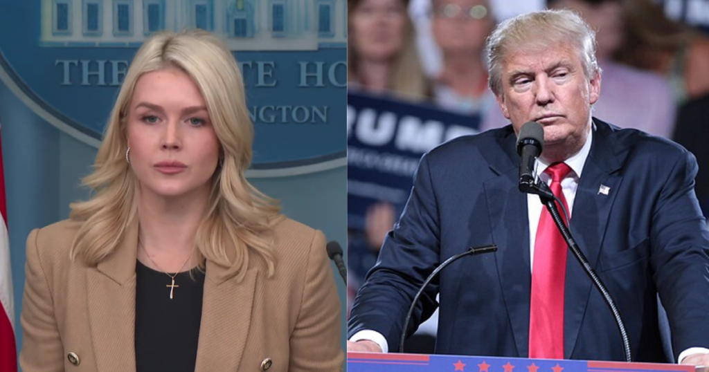 Karoline Leavitt attempt to save Donald Trump's comments earns her public backlash