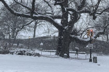 Central Park in New York City in January 2026