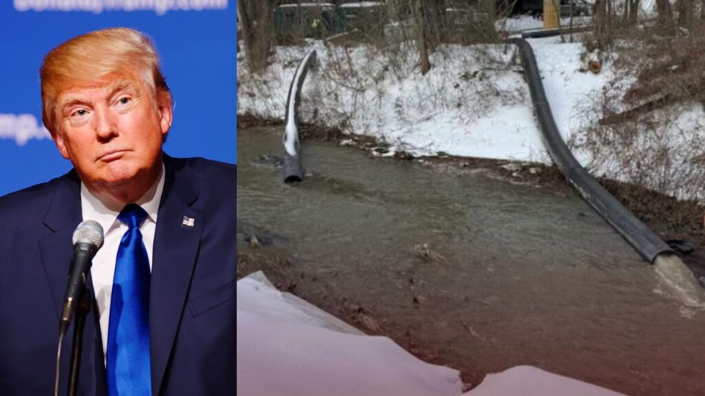 DC Mayor has sought Trump's assistance