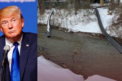 DC Mayor has sought Trump's assistance