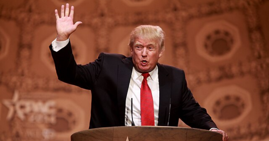 Donald Trump plans to mandate voter IDs for midterm elections