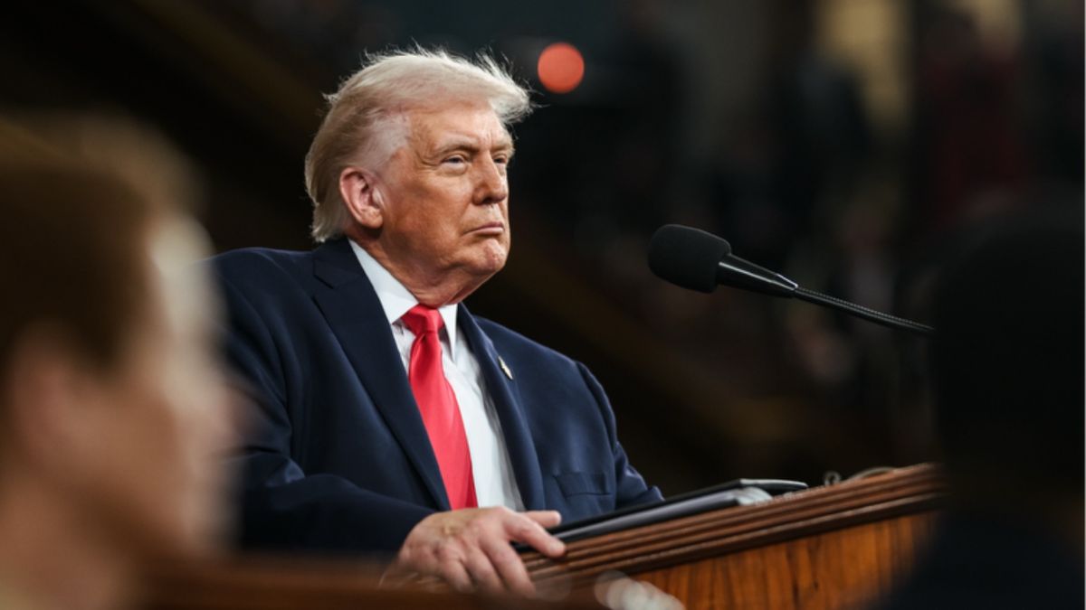 Donald Trump Wig