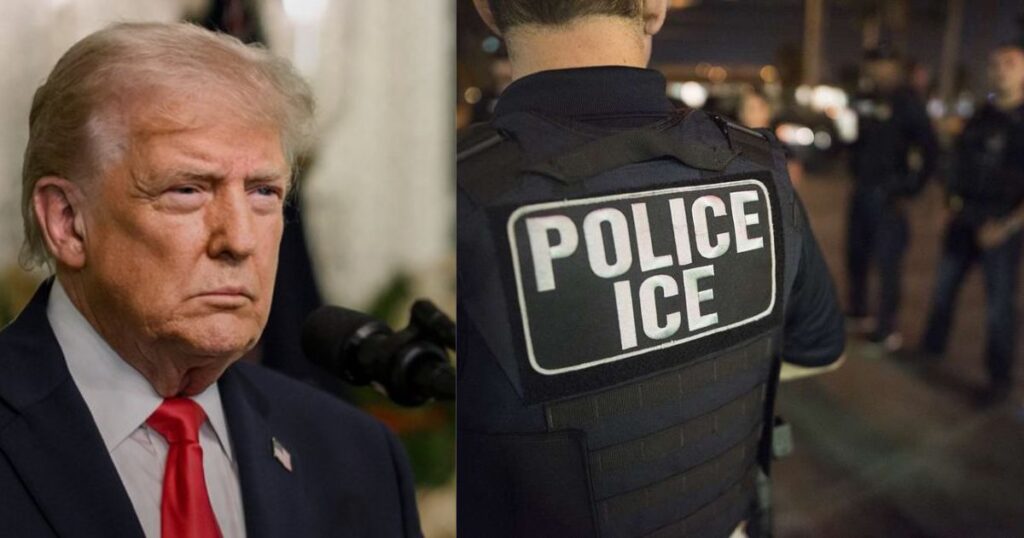 Donald Trump's bizarre ICE operation names