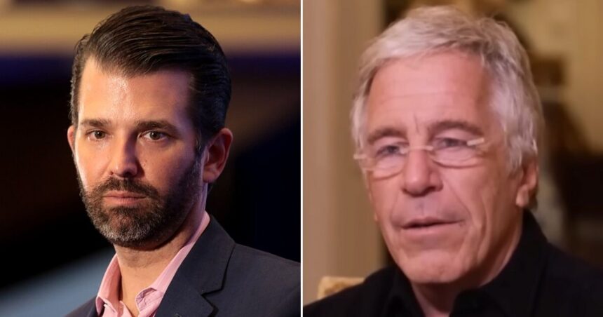 Donald Trump Jr. may have met with Jeffrey Epstein months before his death in 2019.