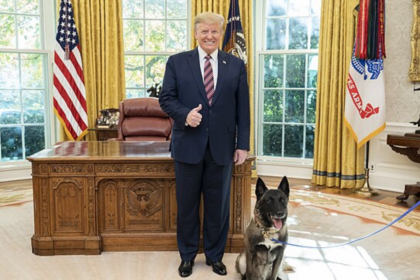 Donald Trump's ex-wife Ivana shares why he doesn't like dogs