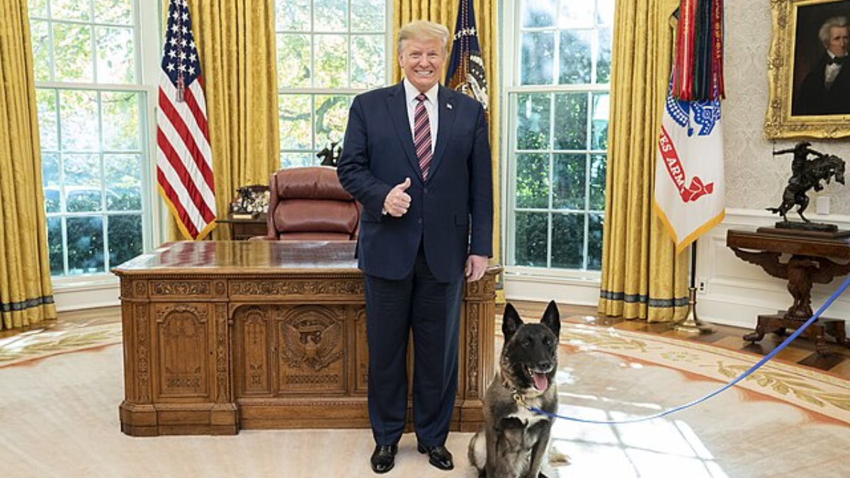 “Not a Dog Fan” — Trump’s Ex-Wife May Have Revealed Why the President Doesn’t Have Pets