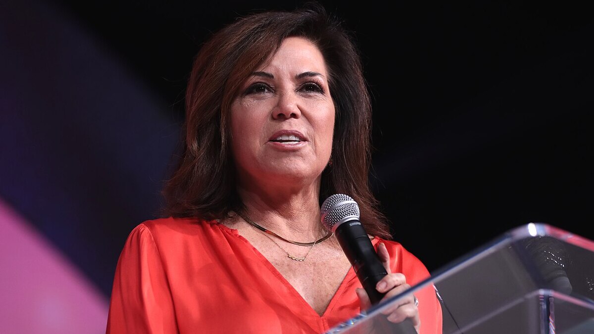 Michele Tafoya NFL reporter Senate California homelessness