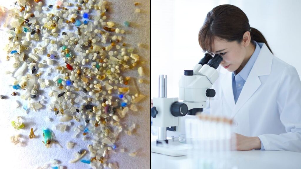 Microplastics-Prostate Cancer-Tumor