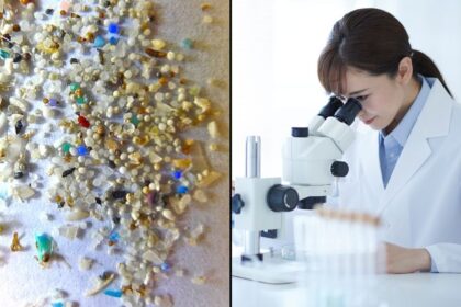 Microplastics-Prostate Cancer-Tumor