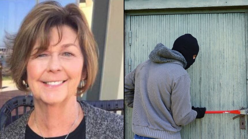 New Theory suggests Nancy Guthrie's disappearance was a burglary gone wrong.