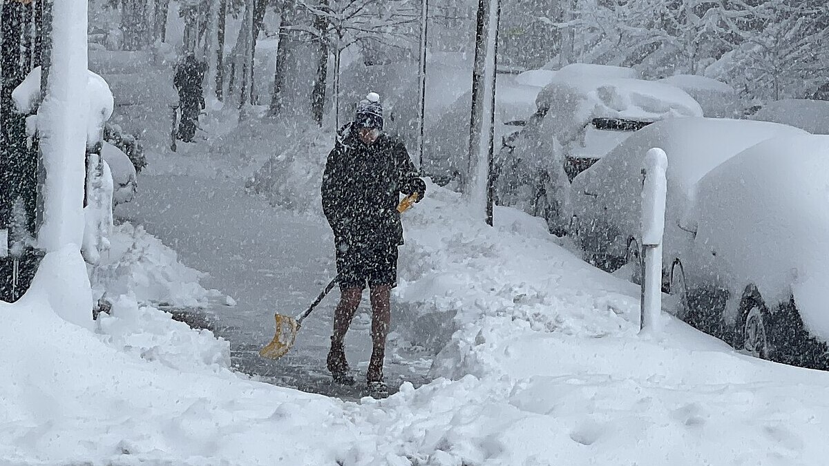 Zohran Mamdani Dismisses NYPD Concerns Over Officers Hit With Snowballs After Blizzard