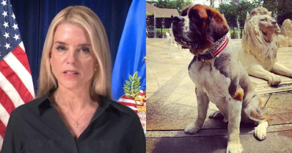 Pam Bondi legally fought a 4 year old to keep the Saint Bernard