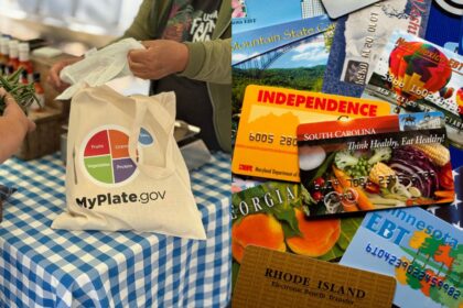 SNAP social security benefits