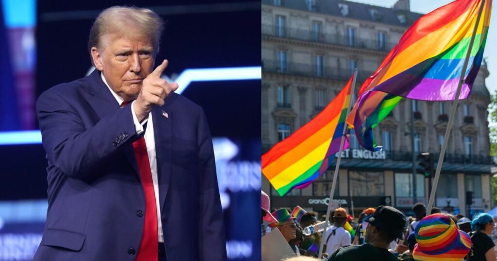 Donald Trump administration removes pride flag from Stonewall sparking outrage (image source: Wikimedia Commons/Gage Skidmore)