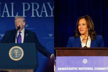 Katie Miller, Donald Trump, Kamala Harris