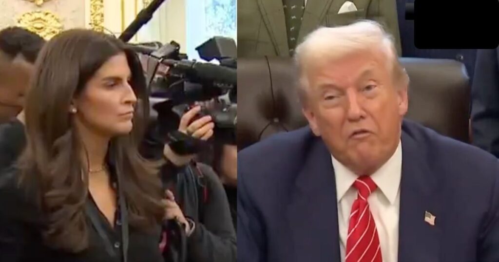 Kaitlan Collins Challenges Donald Trump