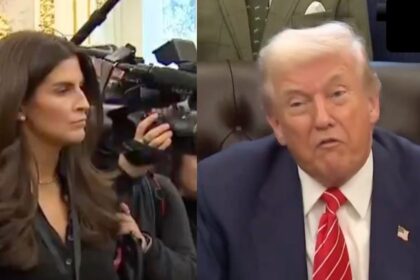 Kaitlan Collins Challenges Donald Trump