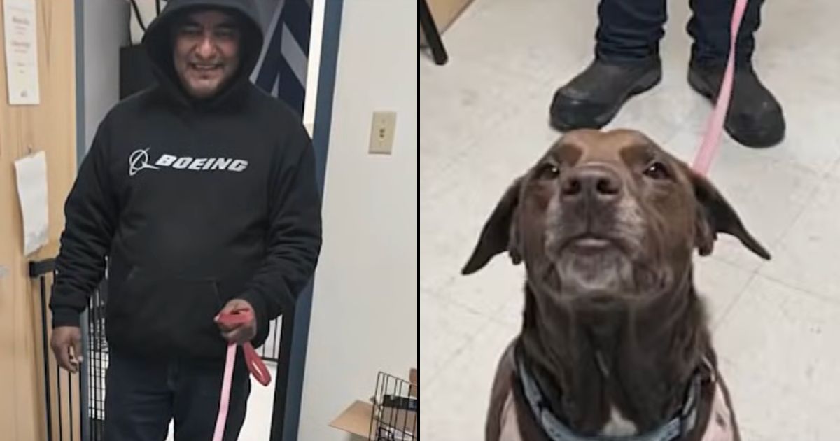Winter Storm Miracle — Wisconsin Man Drove 16 Hours to Reunite with Lost Dog in Philadelphia