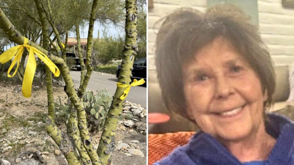 Yellow ribbons tied in Tucson’s Catalina Foothills signal hope for Nancy Guthrie’s safe return