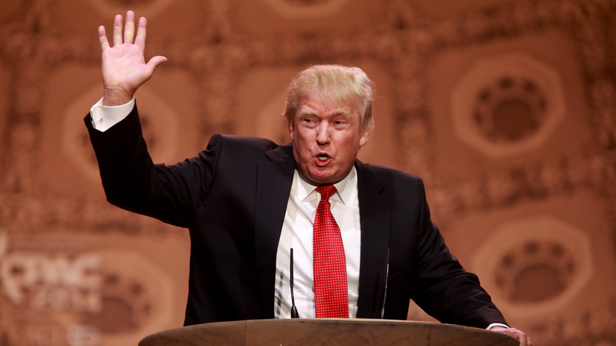 William Shatner Took A Rare Shot At Donald Trump After His Canada Comment