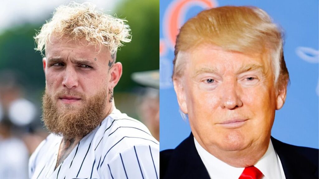 Donald Trump makes a prediction about Jake Paul’s next career move.