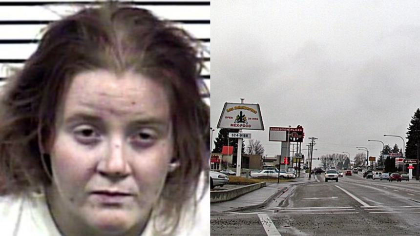 Idaho mother faces felony charges over smoking meth while pregnant (1)