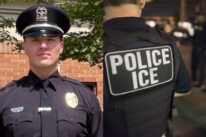 Radule Bojovic Arrested-ICE-Court ruling