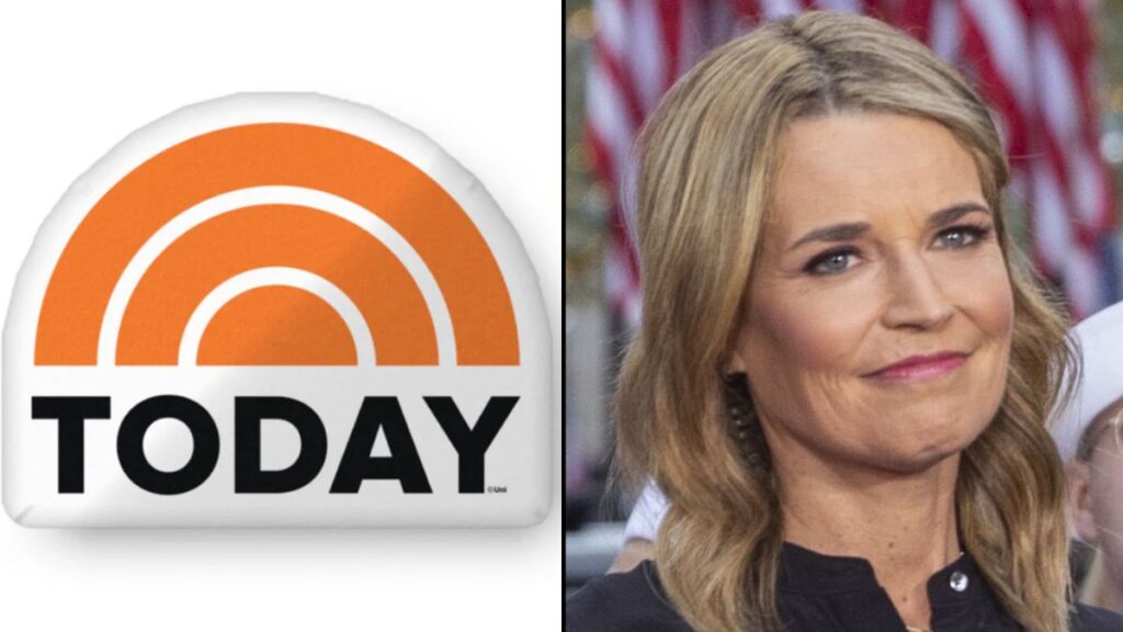 Insider claimed the work environment at the Today Show is like a viper's nest.