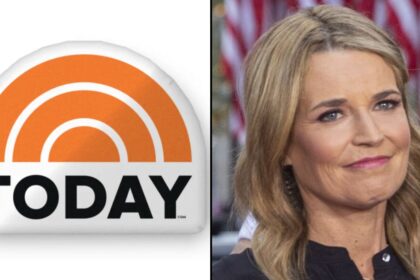 Insider claimed the work environment at the Today Show is like a viper's nest.