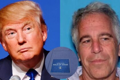 “Jeffrey Epstein Walk of Shame” installation brutally mocks Donald Trump. left- (Image via / Wikimedia Commons) and right- ((Image via / Wikimedia Commons). Circle -@PenguinSix|X.com).