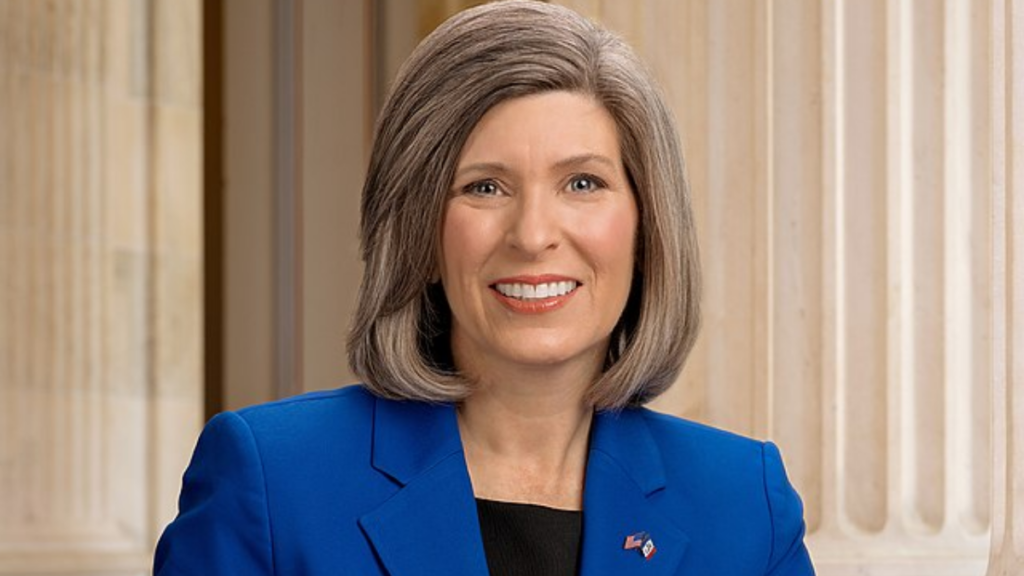 Sen. Joni Ernst talks about immigration polling in new interview