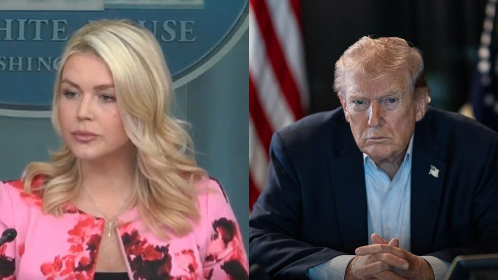 Karoline Leavitt, Donald Trump