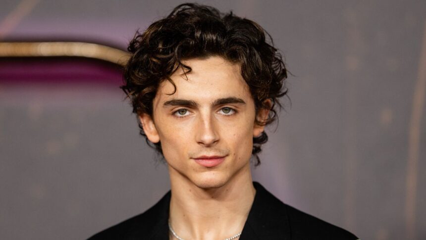 Hollywood actor Timothee Chalamet invite backlash over his derogatory remarks on opera and ballet