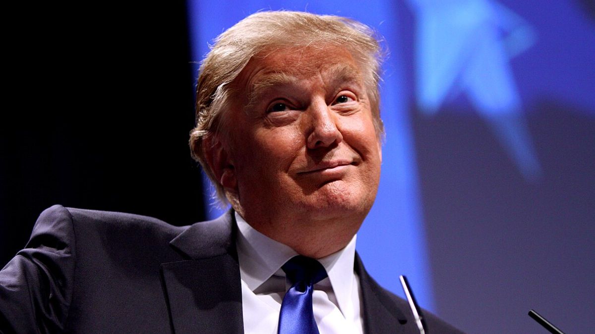 Trump might have some plans for the midterm elections